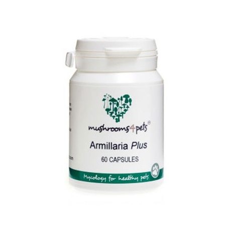 Armillaria Plus (450mg) 60db