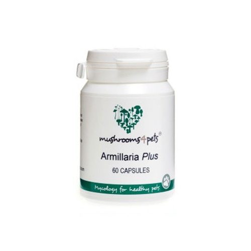 Armillaria Plus (450mg) 60db