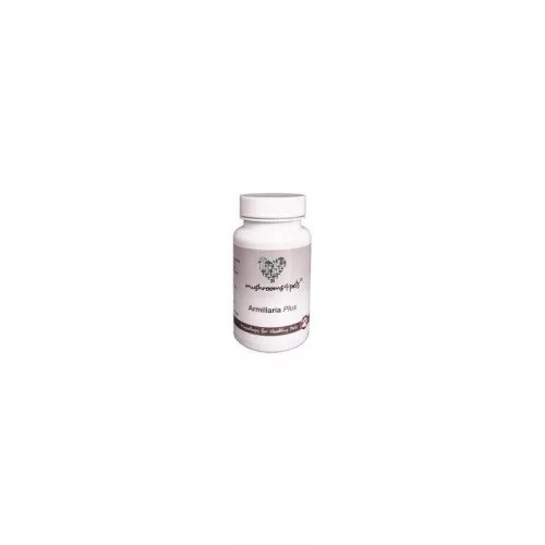 Armillaria Plus 450 mg | természetes görcsoldó kapszula kutyáknak (60 db)