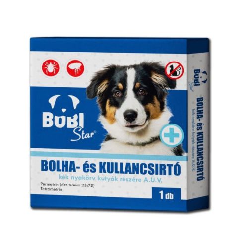 BOBI STAR KÉK NYAKÖRV KUTYÁKNAK A.U.V 1 db