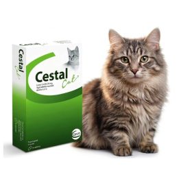 Cestal Cat tabletta 8db