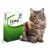 Cestal Cat tabletta 8db