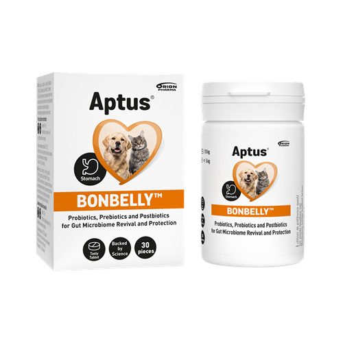 Aptus Bonbelly tabletta az emésztőrendszeri funkciók stabilizálására 30db