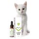 DMguard t2 120ml ingyenes szállítás