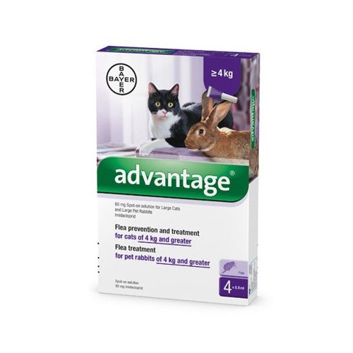  Advantage 80 Spot-on ampulla -  macska/nyúl 4-8kg 4db ampulla