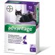 Advantage 80 Spot-on ampulla -  macska/nyúl 4-8kg 4db ampulla
