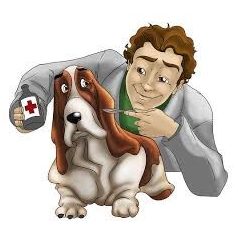 Állatgyógyászati termékek kutyáknak