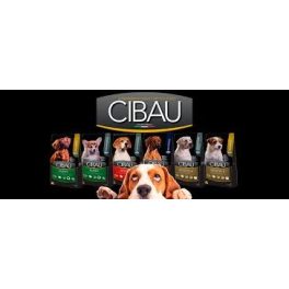 CIBAU