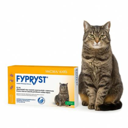 Bolha- és kullancsvédelem cicáknak: Fypryst Combo Spot-On útmutató